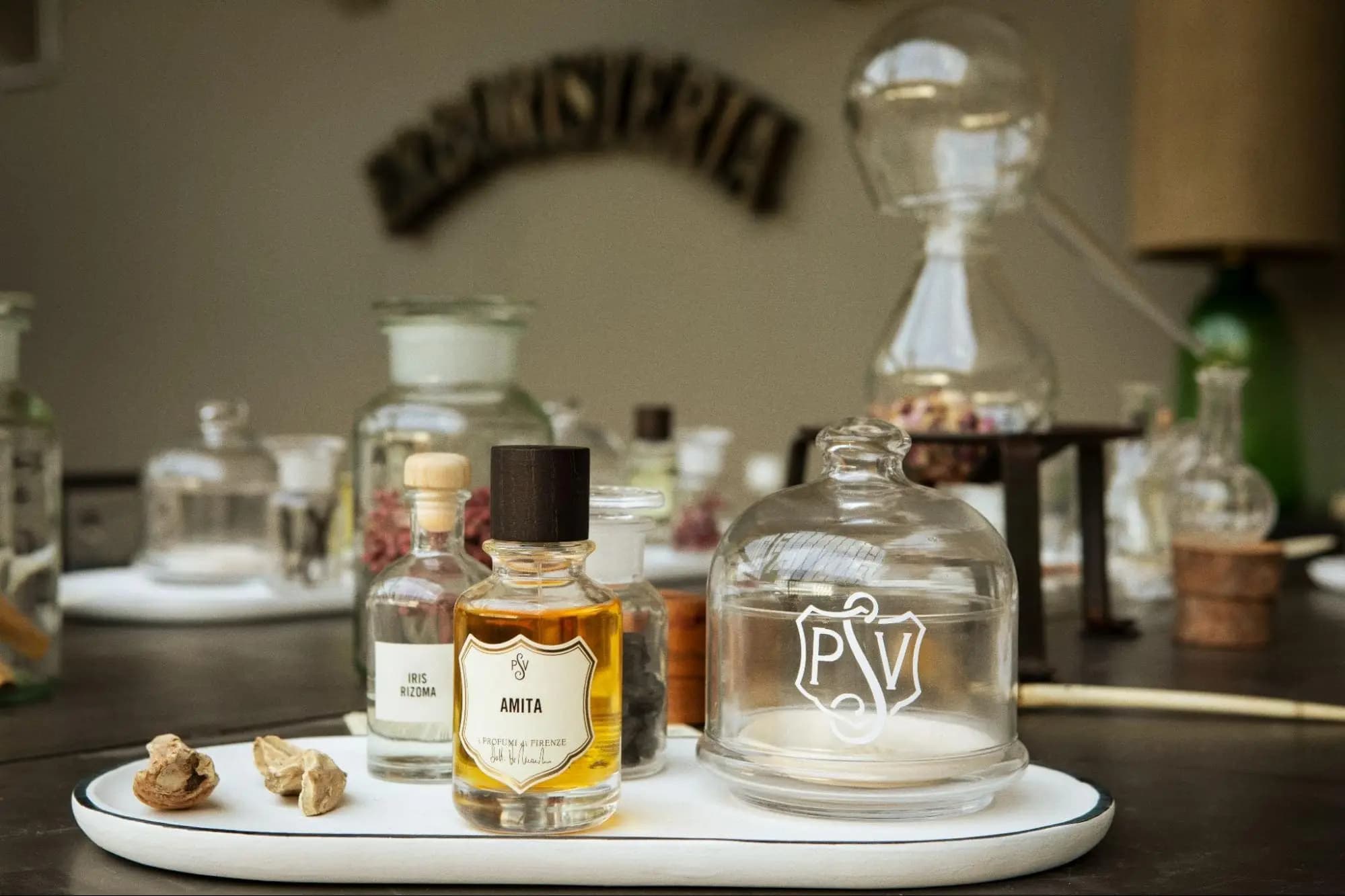 Renaissance Collection