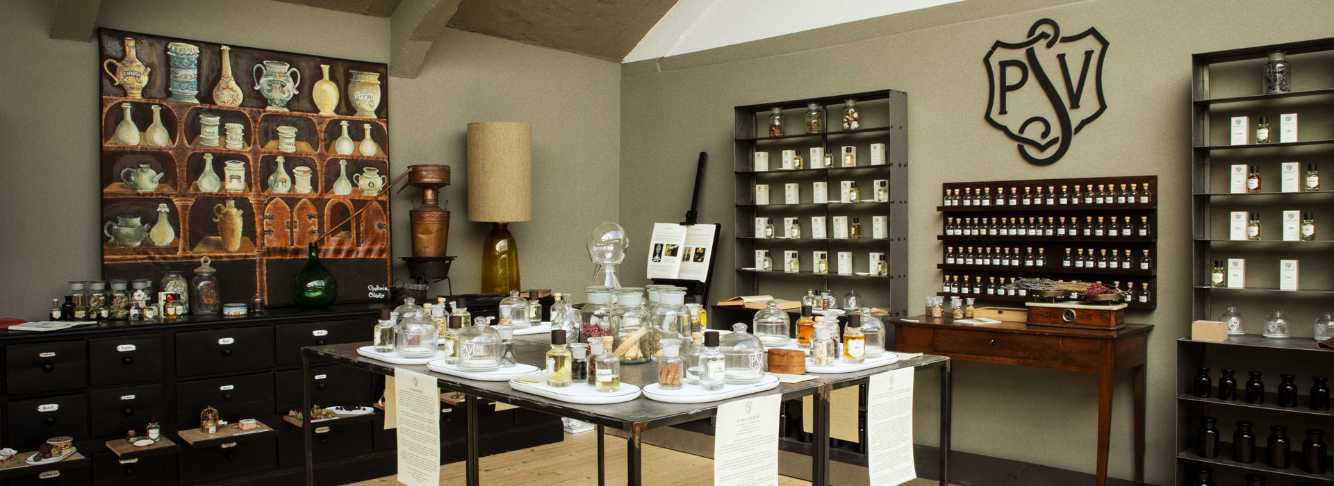 Find your perfume